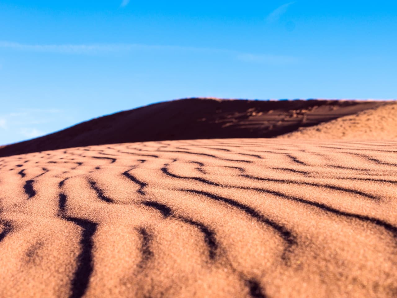 Low-angle desert photograph focusing on rippled sand in the foreground. Dark wavy shadows trace the texture like brushstrokes, while a dune ridge rises softly in the background. Above, a clear blue sky fills the upper half of the frame, creating strong color contrast against the warm sand. The depth of field keeps the foreground crisp and the background slightly softer, guiding the eye forward. Lighting is bright and direct, emphasizing grain and pattern. Mood is crisp, warm, and outdoorsy.