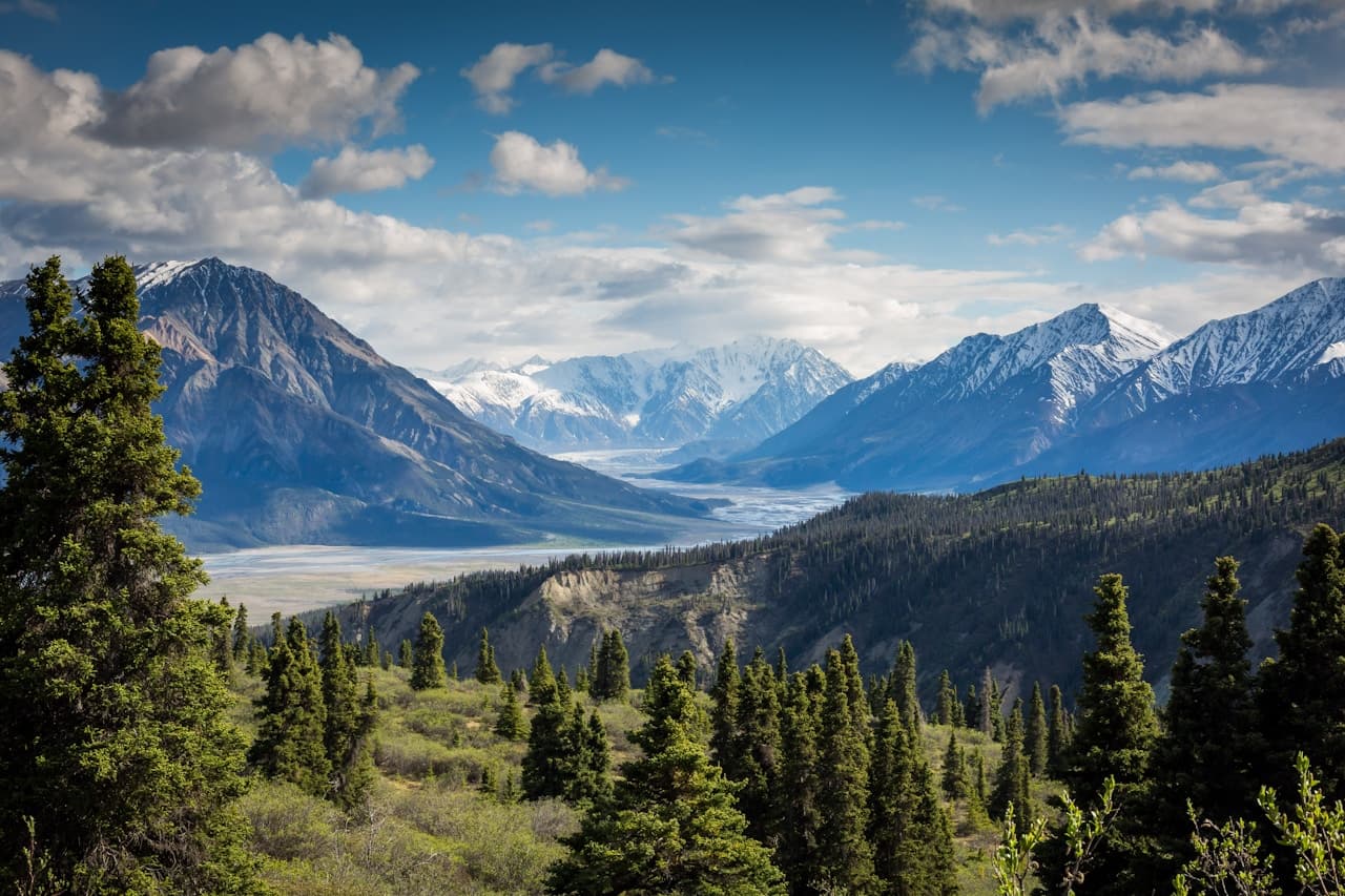 A wide landscape photograph of a mountain valley with snow-capped peaks under a bright blue sky scattered with clouds. Evergreen trees and shrubs fill the foreground, leading the eye toward a distant river or lake winding through the basin. The scene is captured from an elevated viewpoint, creating strong depth from foreground forest to far mountains. Daylight is crisp and clear, with cool tones in the shadows and bright highlights on the snow. The overall mood is expansive and refreshing, evoking open air, altitude, and calm wilderness.