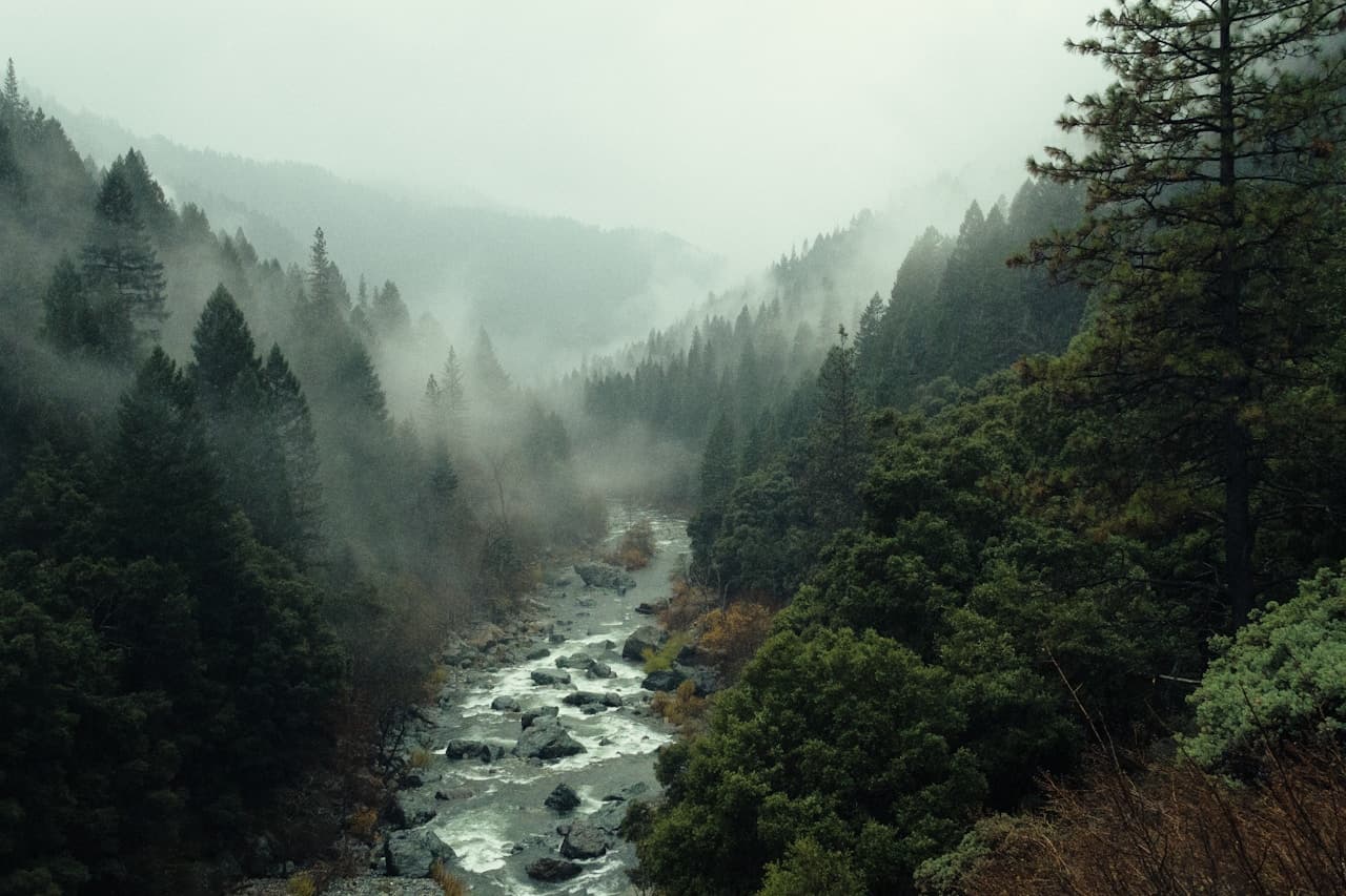 A moody landscape photograph of a rocky river cutting through a dense evergreen forest valley. Thick fog drifts between the trees and along the slopes, obscuring the distant ridges and creating a layered, atmospheric depth. The river's pale highlights contrast with the dark greens of the forest, drawing the eye into the center of the frame. The shot is wide and slightly elevated, emphasizing the winding waterway. Lighting is soft and overcast, with low contrast. The mood feels quiet and introspective, like a cool, misty morning in remote wilderness.