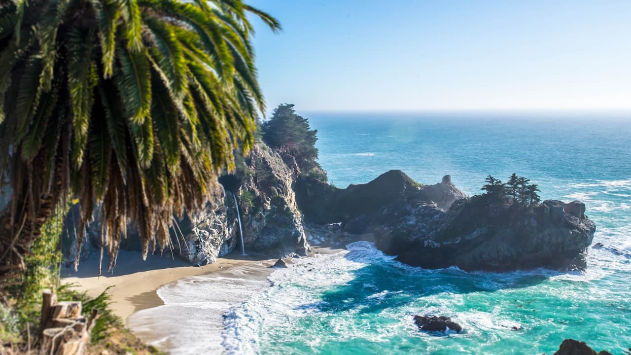 A minimal beach composition with two palm trees leaning diagonally against a wide, open sky. The taller tree dominates the frame, its fronds windswept and slightly browned at the tips, while a smaller palm stands farther back near the shoreline. Below, a narrow band of sand meets calm, shallow water, and soft clouds float across a turquoise-tinted sky. The shot uses plenty of negative space and a vertical framing that emphasizes height. Light is bright and even, giving the scene a breezy, relaxed tropical atmosphere.