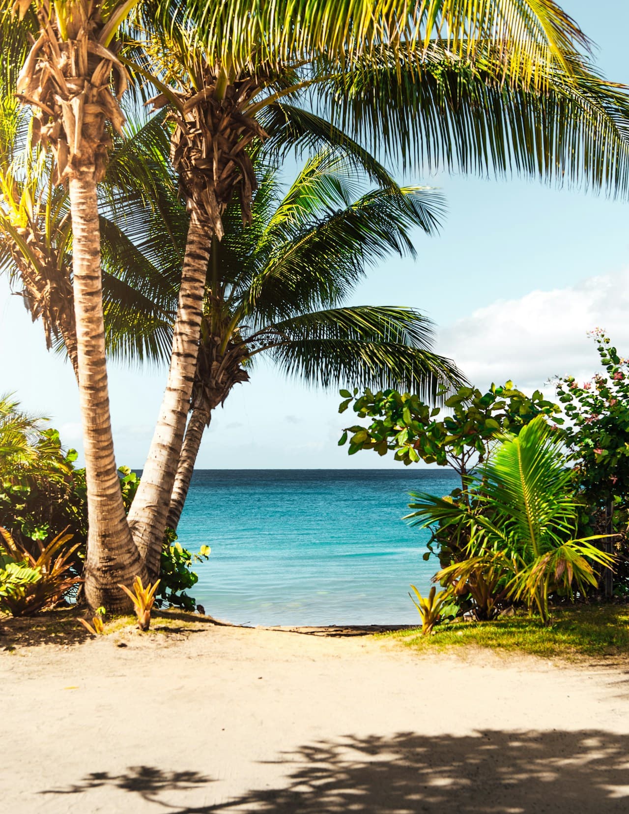 A sunny tropical shoreline framed by tall palm trunks and lush green plants on both sides, creating a natural doorway to the sea. A sandy path leads toward calm, turquoise water under a clear blue sky with a few white clouds. The perspective is eye-level and centered, using the path as a leading line and the palms as vertical framing elements. Bright, direct daylight produces crisp shadows and saturated greens. The mood is inviting and vacation-like, suggesting a peaceful beach access in a warm climate.