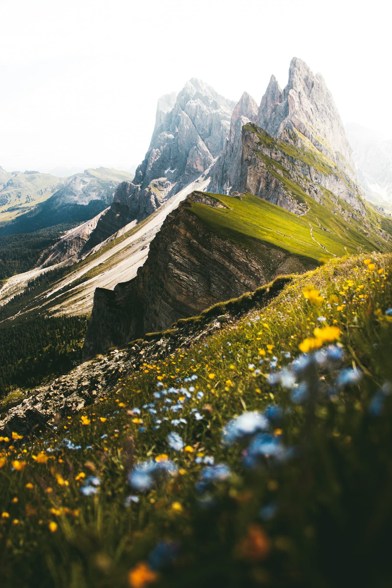 A vertical landscape photograph with a shallow depth of field: wildflowers in yellow and pale blue blur across the foreground, while a sharp rocky ridge leads toward towering mountain peaks. The midground slope is sunlit and green, with a narrow trail etched along the crest. The composition uses the diagonal ridge as a strong leading line, creating depth from soft foreground to crisp background. Light is bright and slightly hazy, giving the scene a high-key, summery feel. The mood is uplifting and adventurous, mixing delicate meadow color with dramatic alpine geometry.
