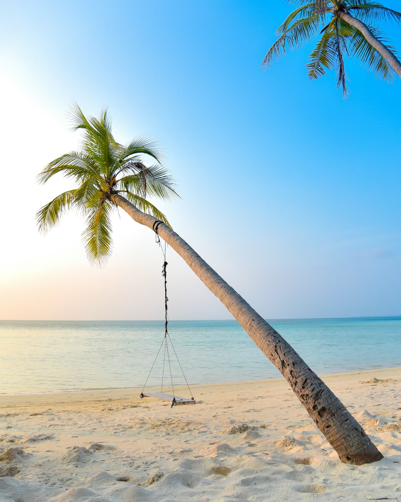 A minimalist beach scene with a single leaning palm tree serving as a frame for a simple wooden swing hanging from a rope. The swing sits over white sand near the waterline, with calm, pale turquoise sea stretching to a straight horizon. The sky is clear and softly graded from warm near the horizon to brighter blue above, suggesting early morning or late afternoon light. The composition is clean and spacious, with strong diagonal lines from the palm trunk and generous negative space. The mood feels quiet, relaxed, and vacation-like.