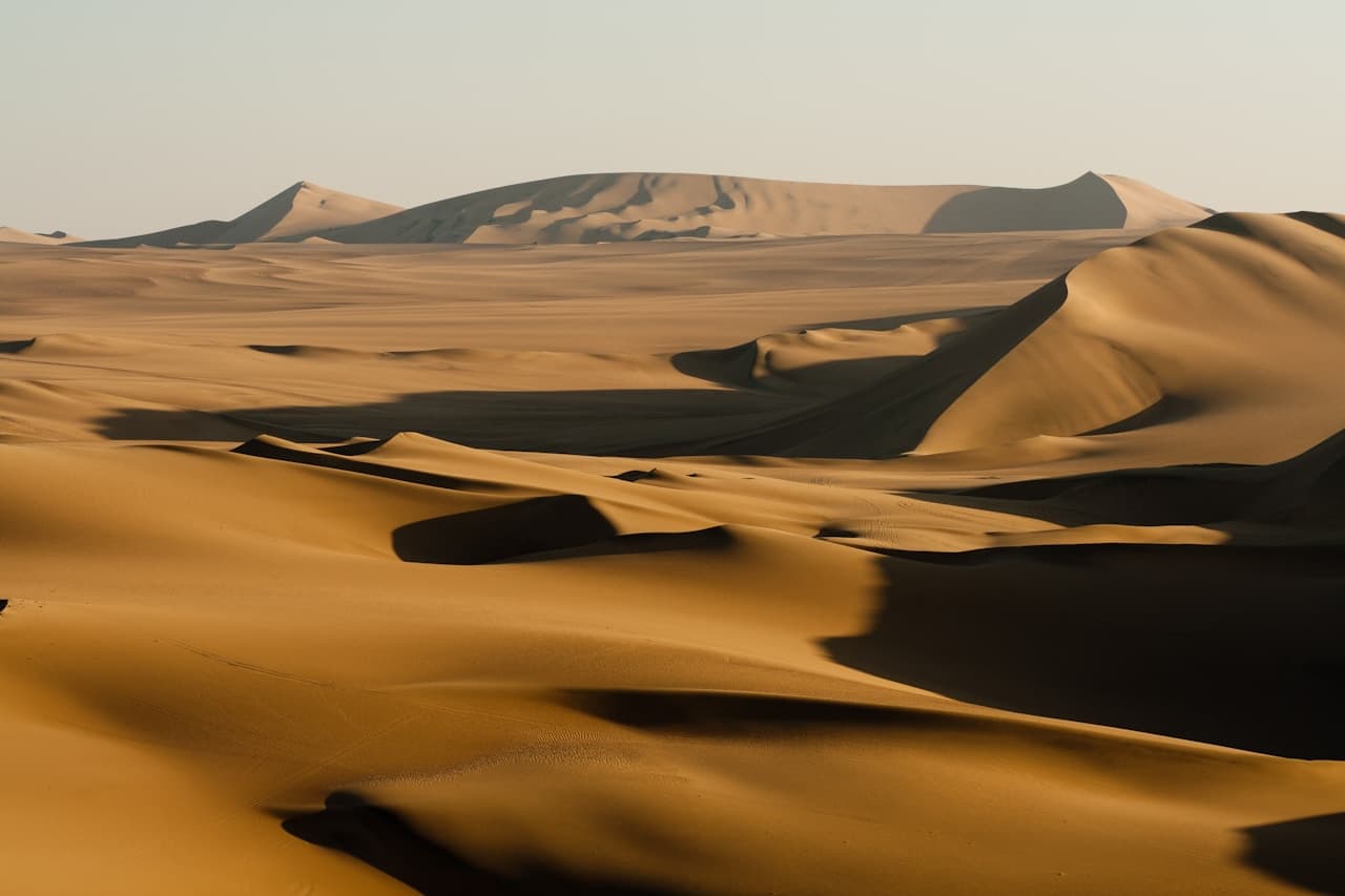 Wide-angle desert scene showing multiple rolling dunes stretching toward the horizon. Strong low-angle sunlight carves sharp, graphic shadows into the sand, creating alternating bands of golden highlights and deep brown shade. The sky is pale and unobtrusive, leaving the dune patterns to carry the image. The perspective feels elevated, revealing distant ridges and subtle textures across the surface. The photograph has a crisp, cinematic look with dramatic contrast, evoking heat, vastness, and quiet isolation.
