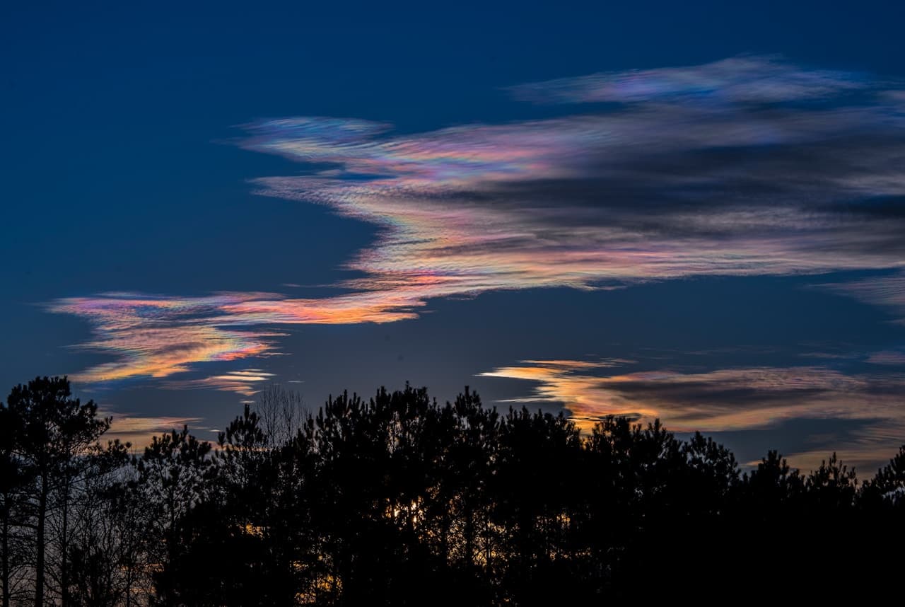 A twilight sky scene with a dark treeline in silhouette along the bottom edge of the frame. Above it, thin, wispy clouds catch iridescent colors, pinks, oranges, and hints of violet, against a deepening blue sky. The composition is simple and horizontal, focusing on the layered textures of the clouds and the contrast between glowing color and the nearly black forest. Light is low and atmospheric, creating a dreamy, slightly surreal feeling, like the sky is painted with oil-slick highlights during the last minutes of dusk.