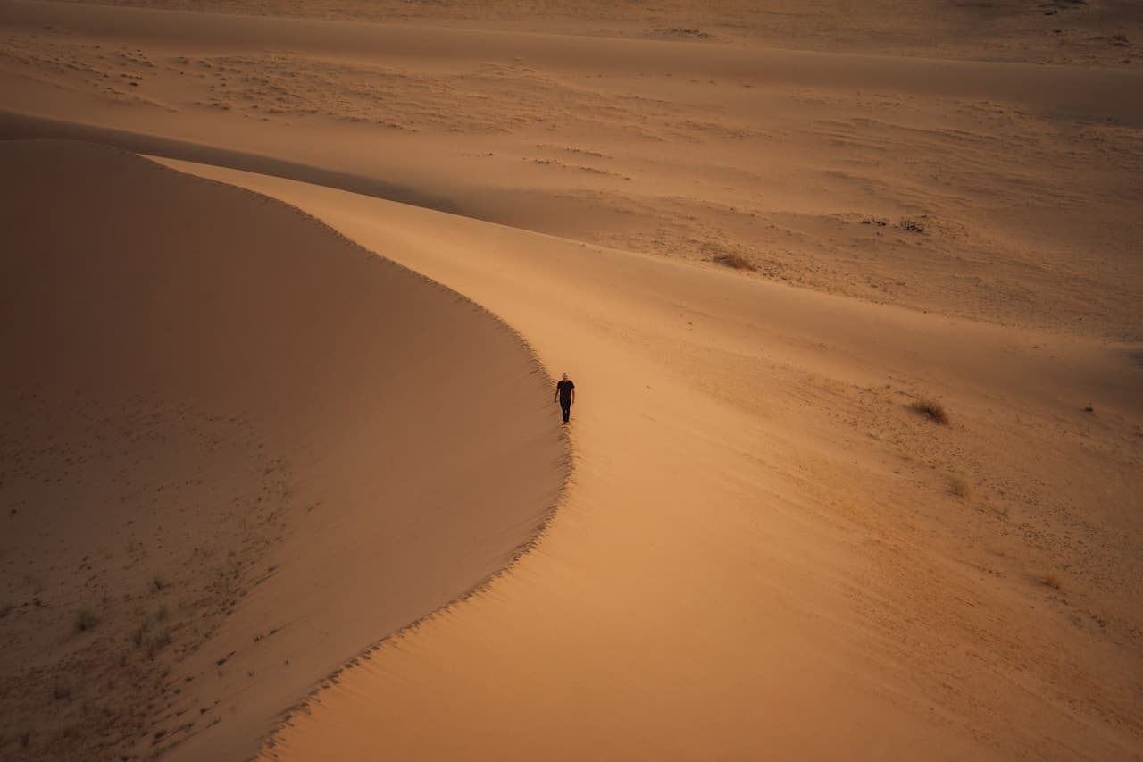 High-angle view of a desert dune with sweeping curves and a crisp ridge line. A single small person walks along the crest, providing scale against the vast expanse of sand. Warm golden-brown tones dominate, with darker shadowed slopes framing the lighter ridge. Sparse vegetation dots the flatter areas, and faint footprints trace the path. The composition uses broad diagonal lines and lots of negative space, emphasizing isolation and openness. Lighting feels warm and soft. Mood is contemplative and solitary.