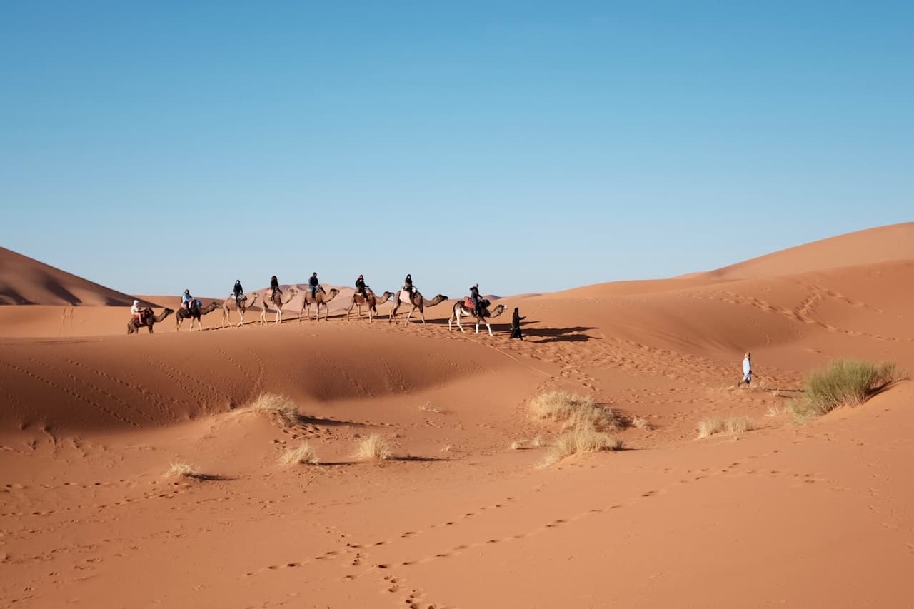 Desert travel scene showing a line of camels with riders moving along a dune ridge under a clear blue sky. Warm orange sand is marked with footprints and occasional tufts of dry grass. A few people walk on foot near the caravan, appearing as small dark silhouettes against the bright dunes. The composition is wide and horizontal, with the caravan forming a strong line across the mid-frame. Lighting is bright daylight, crisp and clear. Mood is adventurous and documentary-like.