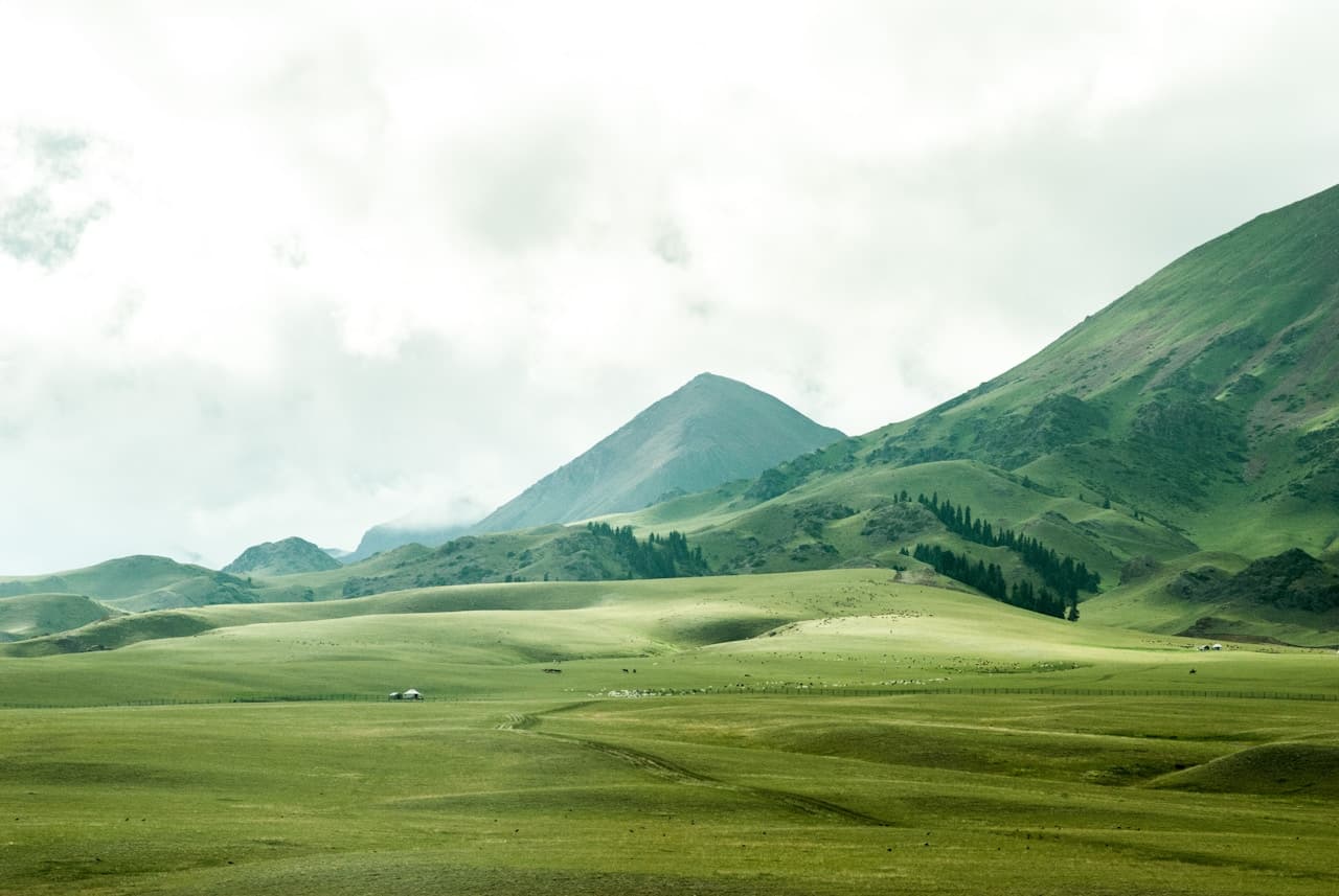 A wide landscape photograph of rolling green grasslands leading toward a steep mountain ridge under a pale, cloud-filled sky. The foreground is an open meadow with faint tracks and subtle texture, while darker tree lines and shadowed slopes add depth in the midground. The scene is softly lit, with muted contrast and a calm, airy atmosphere. Composition is horizontal and expansive, emphasizing layered hills and the single peak as a focal point. The overall mood feels quiet, fresh, and remote.