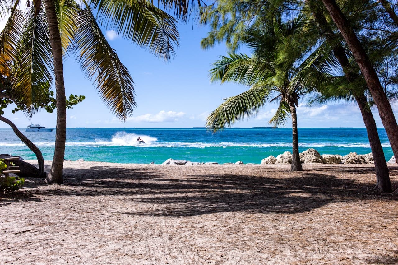A tropical beach scene framed by palm trunks and feathery fronds, casting dappled shadows across sandy ground in the foreground. Beyond the shade, vivid turquoise water stretches to the horizon under a clear blue sky. In the mid-distance, a jet ski cuts across the water, throwing up a white spray that adds motion to the otherwise calm scene. Rocks line part of the shoreline, and a boat is faintly visible far left. The composition uses natural framing and strong contrast between shade and sun, creating an energetic, summery mood.