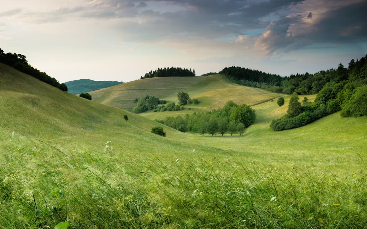 A wide countryside landscape of rolling green hills under a dramatic, cloud-filled sky. The foreground meadow is textured with tall grasses, while scattered trees and darker forest patches create gentle layers across the valley. The composition uses the curves of the hills to lead the eye toward the horizon, with a calm, open feel. Light appears diffused by cloud cover, producing soft shadows and a natural, muted color palette. The mood is peaceful and pastoral, suggesting fresh air, open space, and a slow, quiet moment in nature.